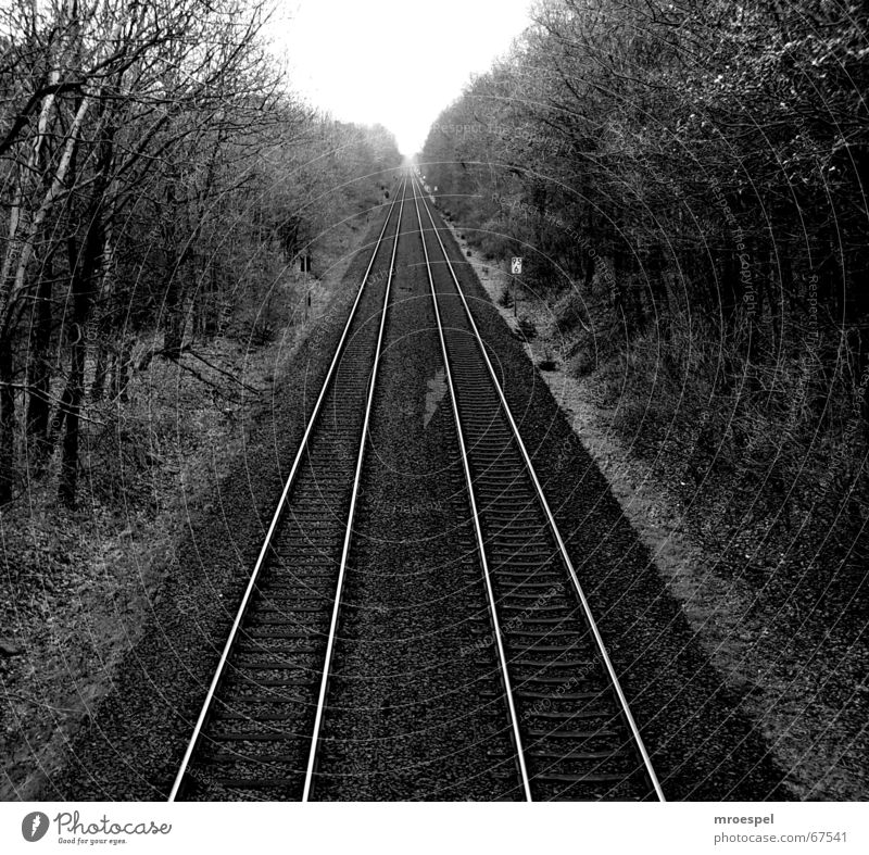 railway Gleise Mittelformat Verkehr bahnschienen Eisenbahn Schwarzweißfoto nowhere Linie