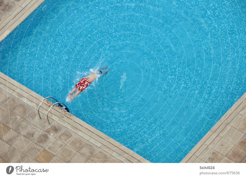 Splash! # 50 Freude Glück sportlich Schwimmen & Baden Wassersport tauchen Kopfsprung Schwimmbad maskulin Mann Erwachsene Körper 1 Mensch 45-60 Jahre Badehose