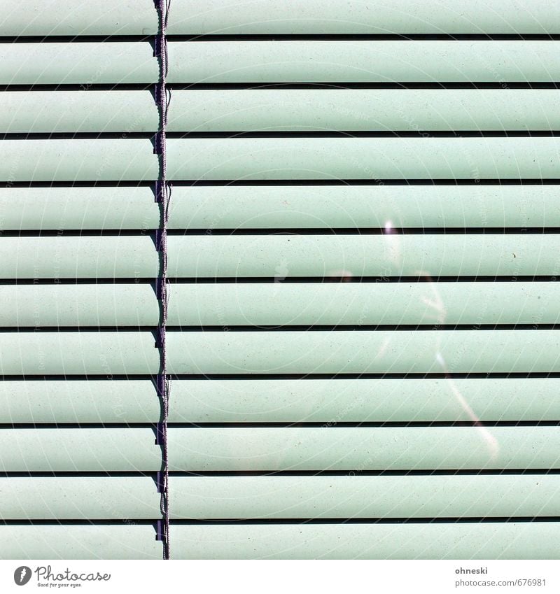 Hinter Gittern Mensch 1 Fassade Fenster Rollladen Glas grün Selbstportrait Farbfoto Gedeckte Farben Außenaufnahme abstrakt Muster Strukturen & Formen