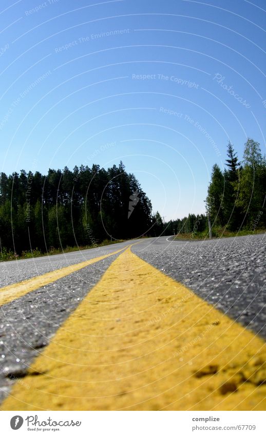 lost! Einsamkeit Wald Finnland Asphalt Mittelstreifen Skandinavien geradeaus Fahrzeug gelb himmelblau Sommer Baum Teer Straßenverkehr Verkehr Unendlichkeit
