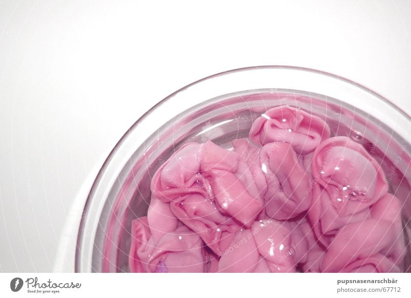 Tortellini á la Mirkowelle -für Mädchen Nudeln Mittag kochen & garen Mikrowelle rosa Ernährung Appetit & Hunger Wasser Im Wasser treiben
