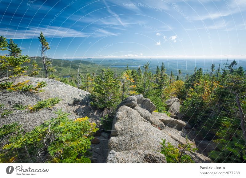 New England Umwelt Natur Landschaft Pflanze Urelemente Luft Himmel Wolken Sonnenlicht Herbst Schönes Wetter Baum Sträucher Wald Hügel Felsen Berge u. Gebirge
