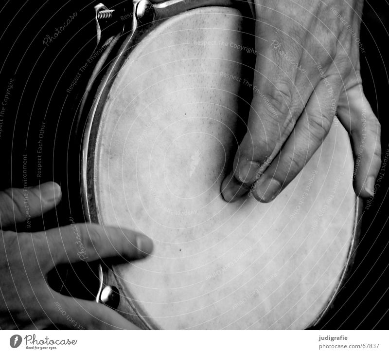 Klang 3 Schlaginstrumente Hand Finger Mann schlagen Rhythmus schwarz perkussion Musik Musikinstrument Gefühle