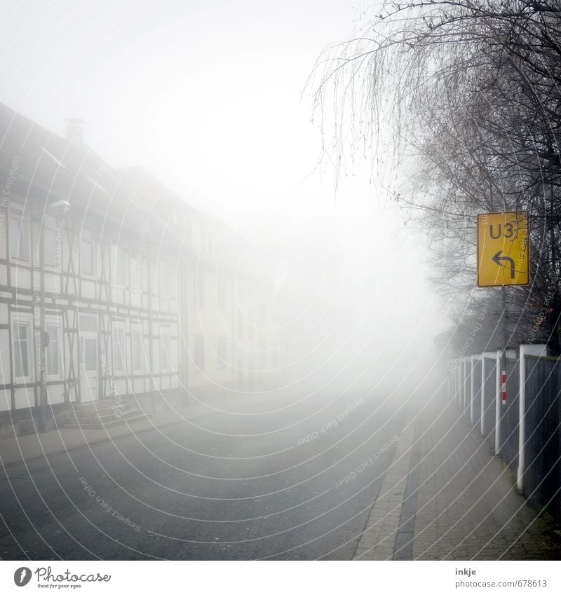 da müssen Sie durch Umwelt Herbst Winter Klima schlechtes Wetter Nebel Baum Kleinstadt Stadt Stadtrand Menschenleer Haus Fachwerkhaus Fachwerkfassade Fassade