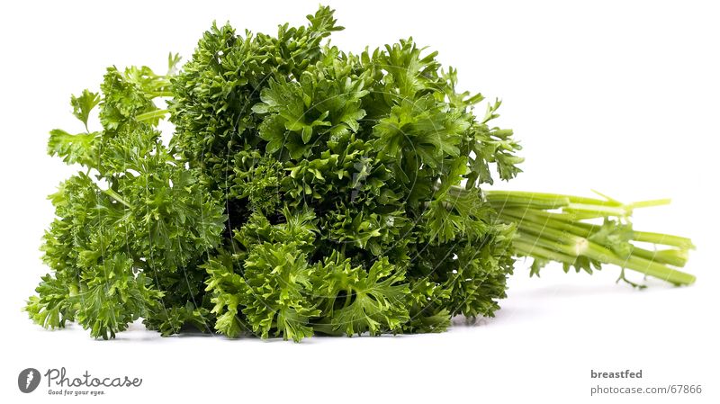 petersilie Petersilie grün Küche Kräuter & Gewürze Mittagessen lecker Gesundheit Ernährung