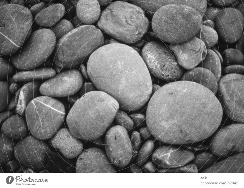 steinig | grau in grau | Steine und Kiesel am Strand. Kieselsteine Anhäufung mehrere Haufen Kieselstrand groß klein rund Verschiedenheit ähnlich Sammlung