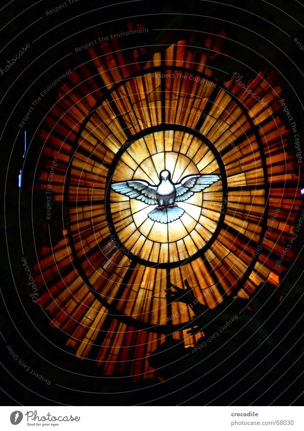 friendensflieger Taube Petersdom Katholizismus Frieden Symbole & Metaphern mehrfarbig Rom rund vaitikan Glas fliegen eingerahmt Beleuchtung