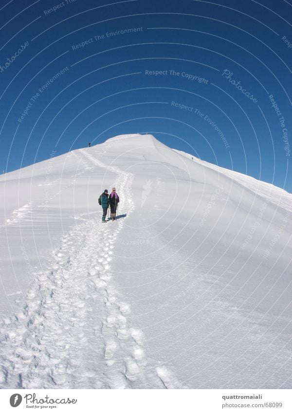 Gipfelwanderung Winter Schneewandern Schneespur kalt Schweiz Grindelwald maskulin winterwanderung Spuren Eis Berge u. Gebirge Spaziergang winterwelt