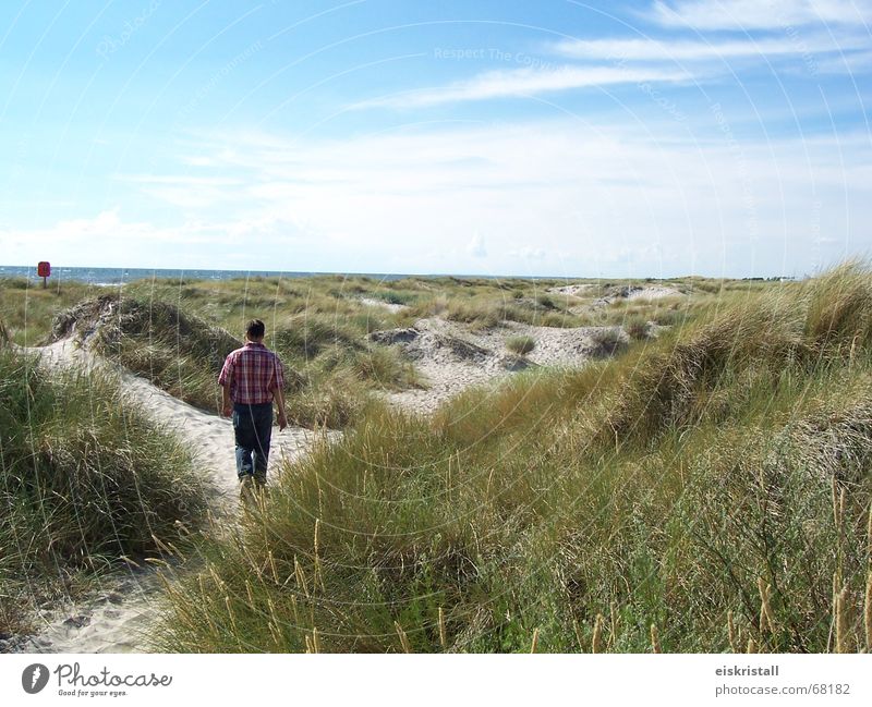 Dänischer Strand Wolken Mann Gras Sandstrand Meer Dänemark Himmel Blauer Himmel Stranddüne Landschaft blau