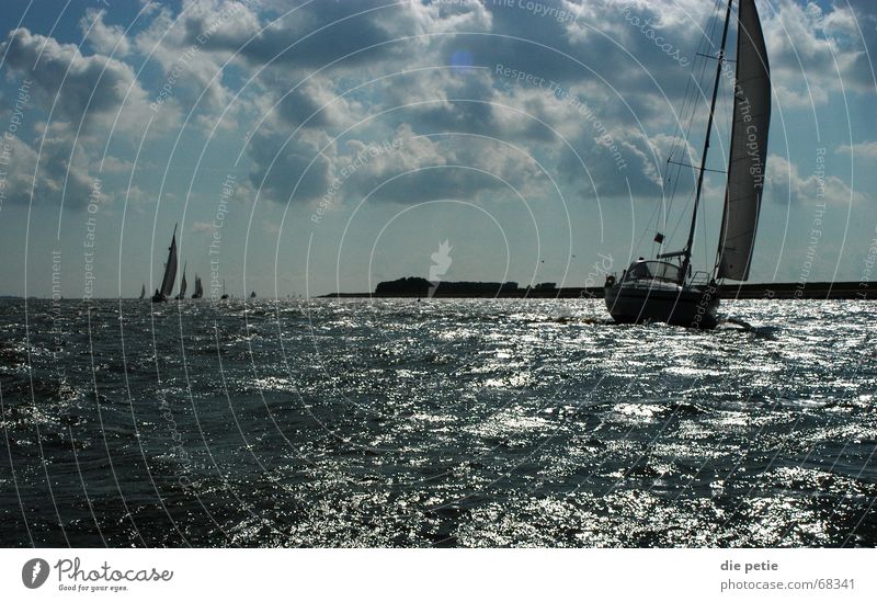 törn aufm ijsselmeer Segeln Ijsselmeer Niederlande Sportboot Wellen Erfolg Küste Wolken