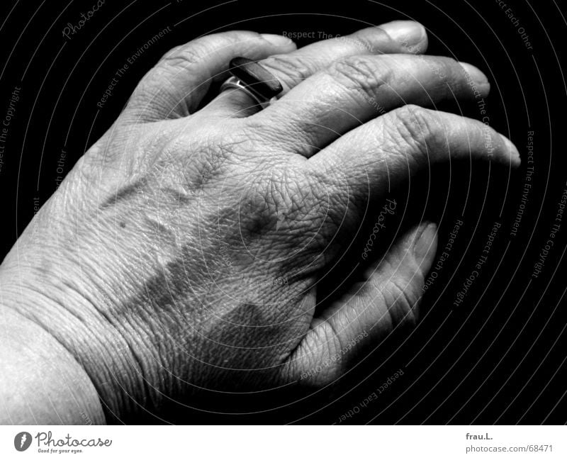Frauenhand Geschirrspülen Hand Finger Falte Reinigen trocken Leberfleck Sofa Zeit Haushalt Arbeit & Erwerbstätigkeit Mensch runzeln lebensspuren Kreis Haut