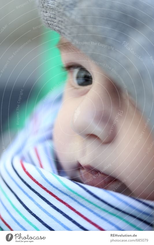 Geh und umarme deine Zukunft! Mensch Kind Baby Auge Nase Mund 1 0-12 Monate niedlich grau Streifen gestreift Farbfoto Außenaufnahme Detailaufnahme Makroaufnahme