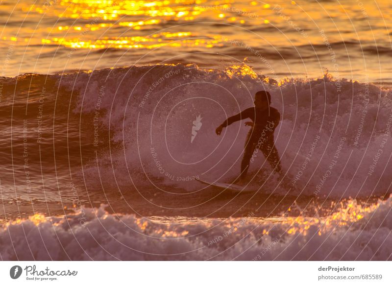 Golden Surfer Freizeit & Hobby Abenteuer Sommer Sommerurlaub Sport Wassersport Mensch maskulin Körper 1 18-30 Jahre Jugendliche Erwachsene Umwelt Natur