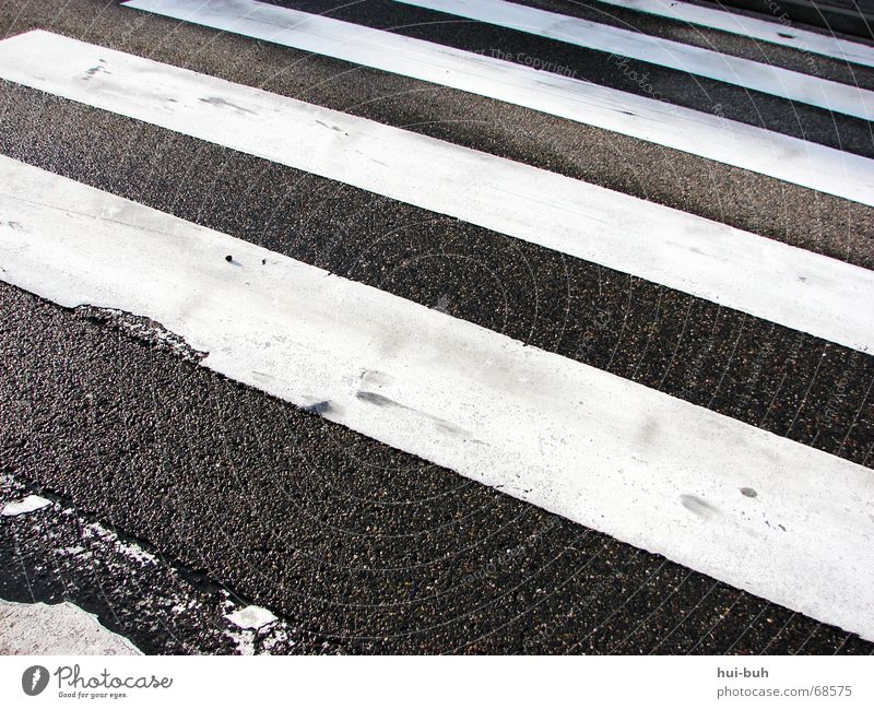 rechts, links,rechts- und drüber laufen. Zebra Zebrastreifen schwarz weiß gestreift Ampel Fußgänger Linie Asphalt betoniert Teer Grundschule Hand Bodenbelag