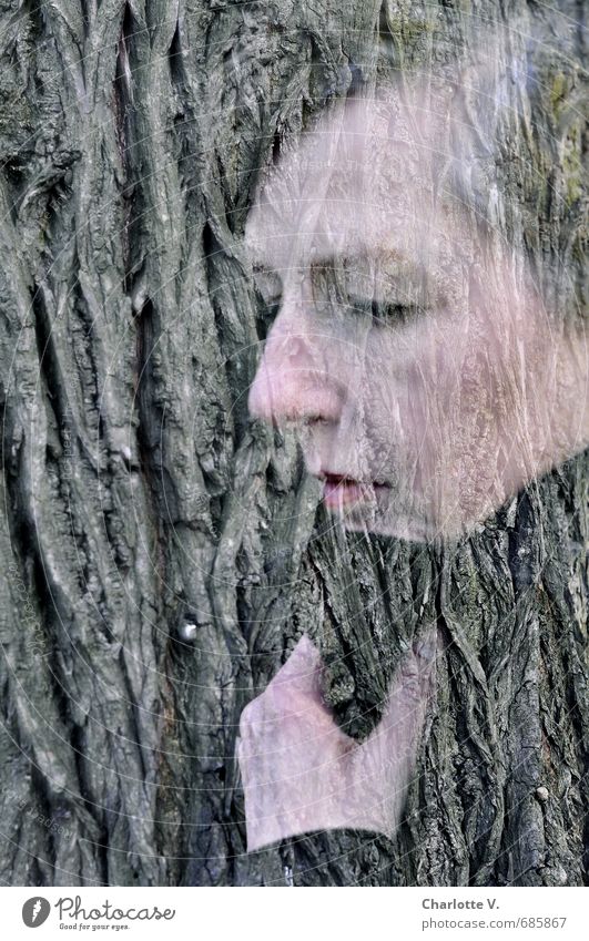 Nachdenklich Mensch feminin Frau Erwachsene Gesicht 1 45-60 Jahre Tier Baum Baumstamm Baumrinde Holz Denken frieren stehen Traurigkeit außergewöhnlich natürlich