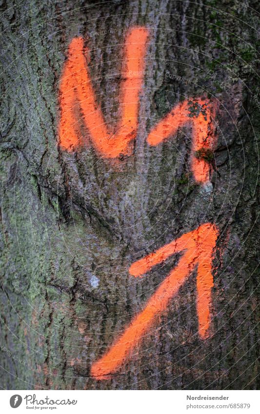 ....und hoch.... Landwirtschaft Forstwirtschaft Baum Zeichen Schriftzeichen Ziffern & Zahlen Schilder & Markierungen orange Rätsel Pfeil richtungweisend