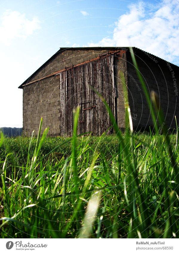 Scheu[Neee] Scheune Gras grün Bauernhof Licht Feld Wolken Stall Schiebetor Dach Mauer Himmel blau Landschaft Graffiti Sonne Lagerhalle
