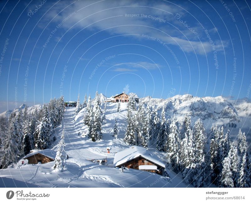 Winterlandschaft Wald Gipfel Österreich Bundesland Steiermark Wolken Ferien & Urlaub & Reisen Schnee Berge u. Gebirge Himmel Hütte rohrmoos hochwurzen Alpen