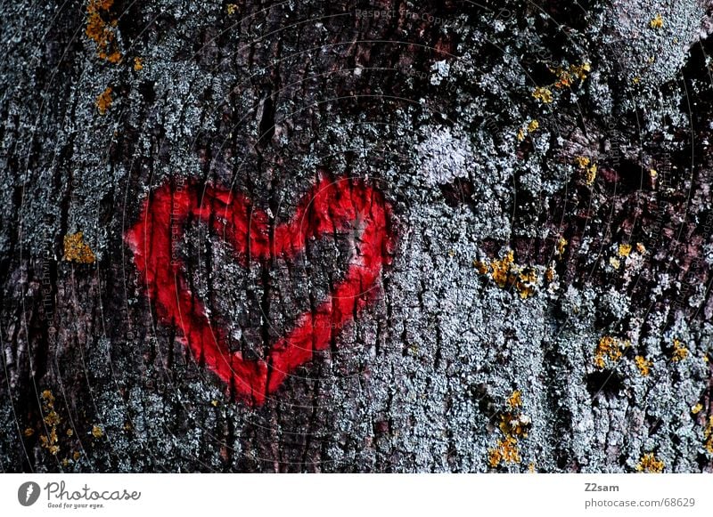 I love rise Baum rot dunkel schnitzen Herz Natur Strukturen & Formen herzform red heart Liebe