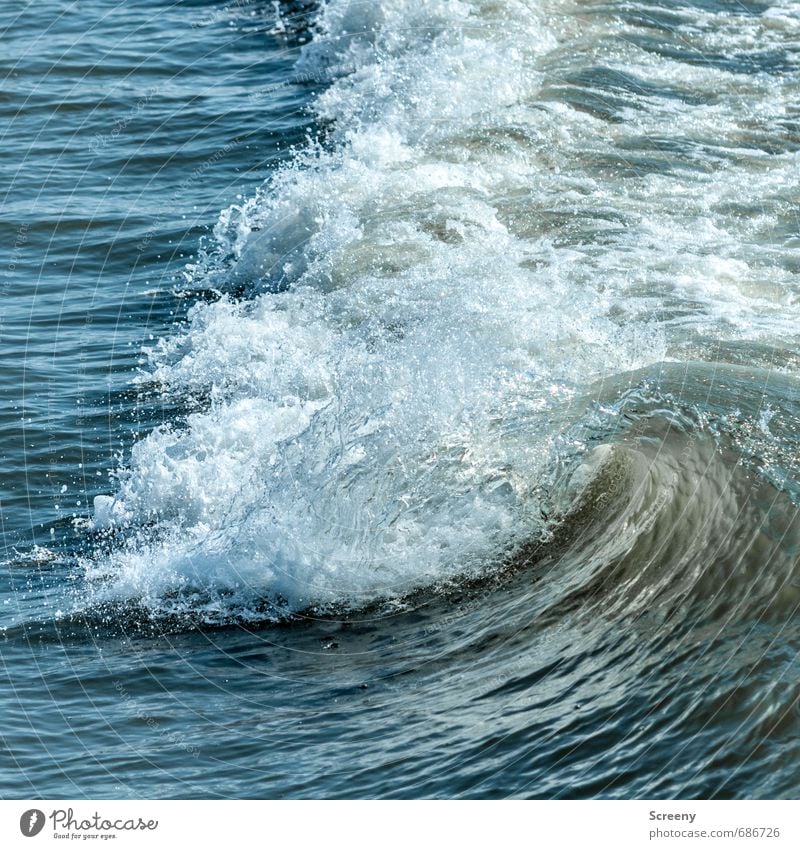 Nordsee | Zu Wasser... Ferien & Urlaub & Reisen Tourismus Ausflug Sommer Sommerurlaub Meer Wellen Natur Urelemente Wellenkamm Flüssigkeit blau weiß Kraft