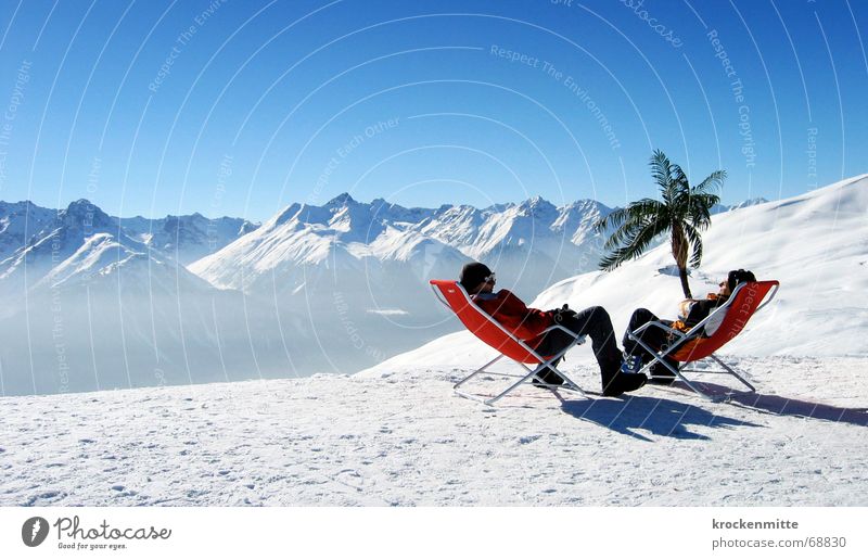 oase Après-Ski Liegestuhl Bergkette Wintersport Pause Palme sprechen Freundschaft Ferien & Urlaub & Reisen Erholung Schweiz Engadin Freizeit & Hobby