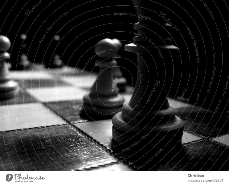 Schach Feld dunkel verlieren weiß Spielen schlagen Zeitspuren zeitlos stagnierend ruhig Licht & Schatten black chess Schachbrett angest win losgelöst white
