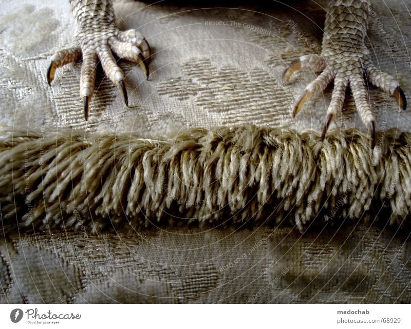 TITELBILD | echse krallen drachen reptilien style design sofa Echsen Krallen Sofa Reptil Stil Design Fuß Beine geilomat Fett boah ey fetter kontrast und so