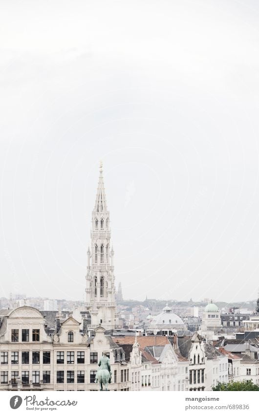 die beige stadt. Altstadt Skyline Kirche Dom Bauwerk Architektur Dach Marktplatz Brüssel Rathaus Erwartung Politik & Staat Ferien & Urlaub & Reisen Städtereise