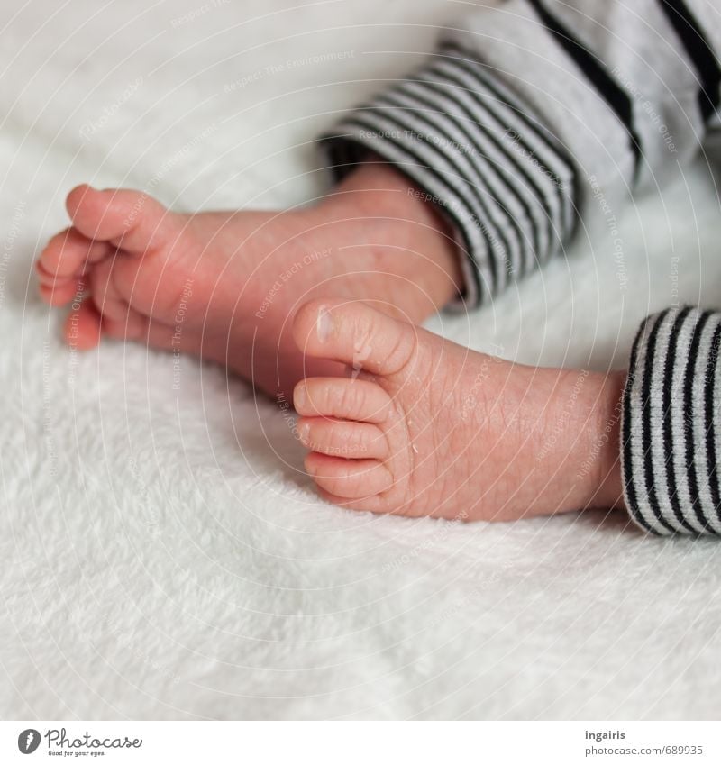 Vierzehn Tage Baby Kindheit Haut Beine Fuß Zehen Zehennagel 1 Mensch 0-12 Monate liegen Freundlichkeit klein niedlich rosa schwarz weiß Gefühle Glück