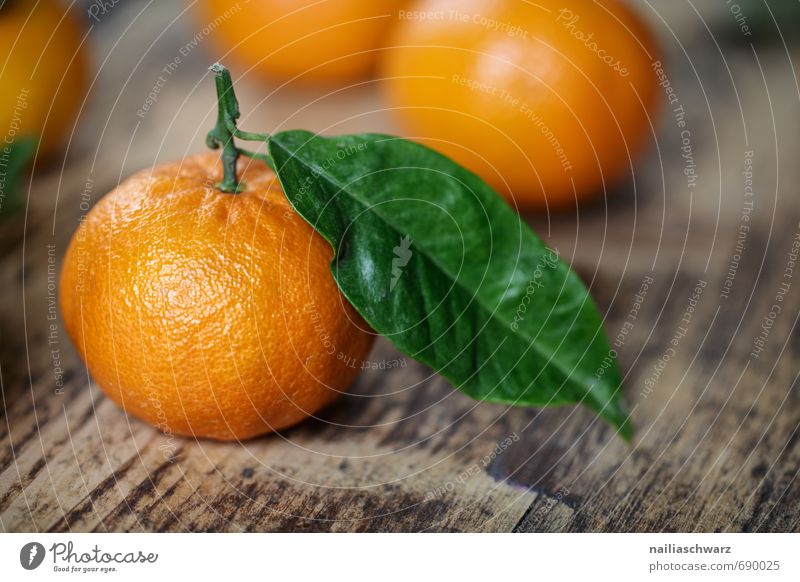 Frische Mandarinen Lebensmittel Frucht Orange Bioprodukte Vegetarische Ernährung Diät Blatt frisch natürlich saftig schön viele grün Fröhlichkeit Reinheit Farbe