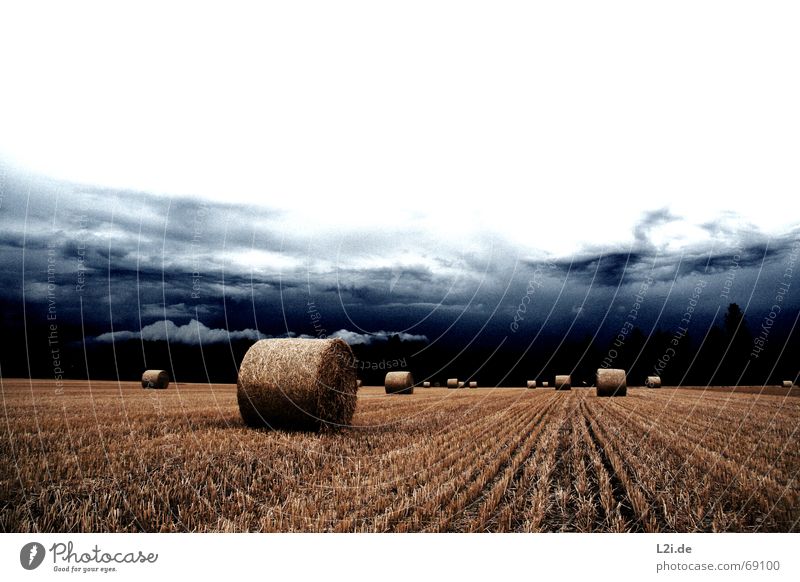 HATE IS THE HARVEST Wolken Feld Stroh Heuballen Strohballen rund gelb Himmel untergehen Apokalypse Sommer Herbst Jahreszeiten gruselig Natur Getreide Ernte