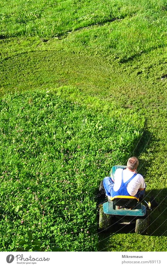 Rasenmäherman Mann grün Wiese Schatten Abendsonne Arbeitsanzug rasenmähen geschnitten kürzen Sportrasen Sommer Arbeit & Erwerbstätigkeit Krach Dienst