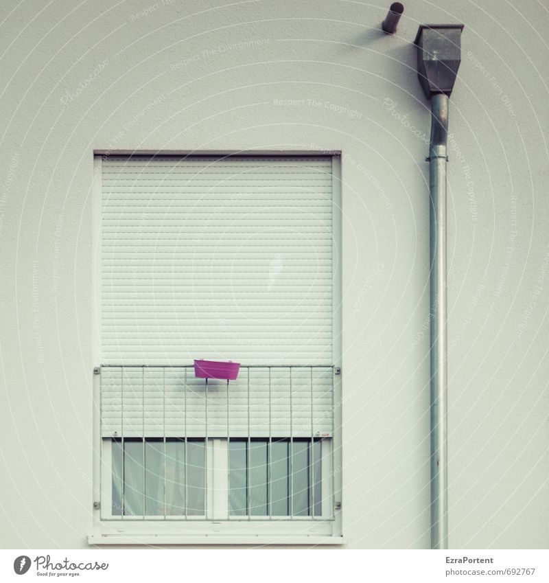 Rückzug Frühling Haus Einfamilienhaus Bauwerk Gebäude Mauer Wand Fassade Fenster Dachrinne Linie kalt trist grau violett rosa weiß Einsamkeit Verbitterung