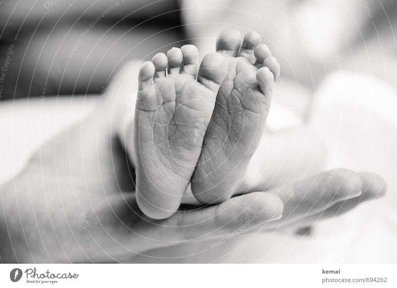 Völlig unbenutzt Baby Familie & Verwandtschaft Leben Hand Fuß Fußsohle Zehen 0-12 Monate hell klein niedlich Gefühle Geborgenheit achtsam ruhig winzig