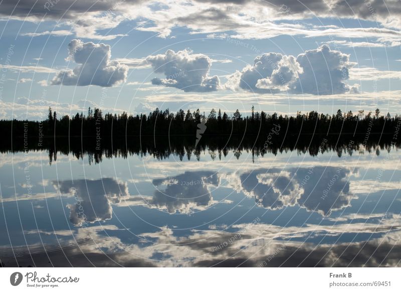 Wolkenspiegelung See schlechtes Wetter Spiegel Spiegelbild Täuschung Oberfläche Horizont ruhig gleich Symmetrie Außenaufnahme Baum Glätte lake clouds mirror