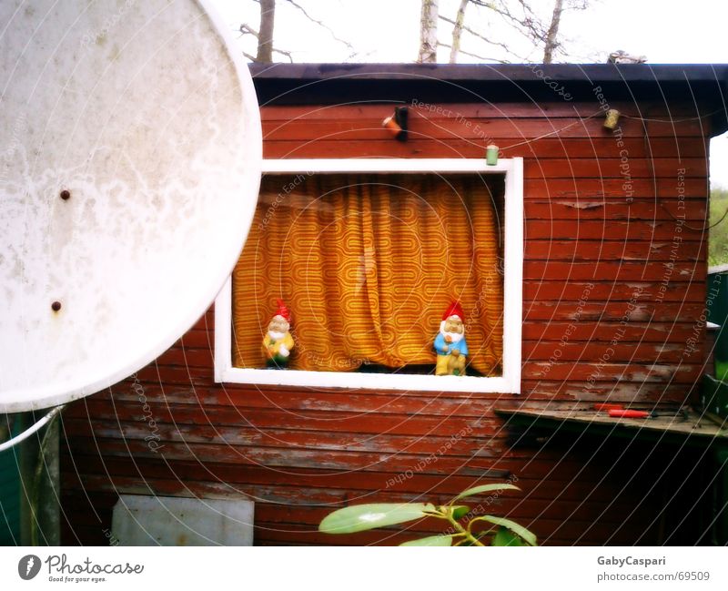 Idylle Gartenzwerge Spießer Camping Fenster weiß Holz Campingplatz Außenaufnahme lustig alt mit gardine Hütte farbe abgeblättert wochenendhaus sat-schüssel