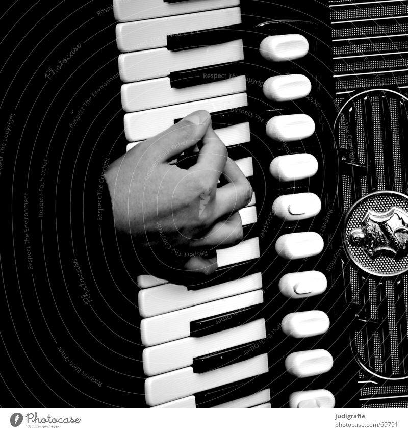 Musik 4 Akkordeon Klang Rhythmus Hand schwarz Musikinstrument ziehharmonika Kontrast handharmonika handzuginstrument ziehorgel handorgel