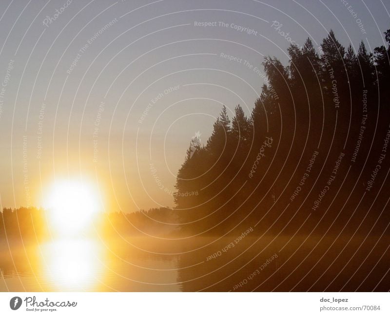 Mururoa_Atoll_1 Wald See Finnland Morgen Reflexion & Spiegelung blenden dunkel gelb Einsamkeit Hoffnung Physik Wolken Baum Gegenlicht Verlauf Nebel Silhouette