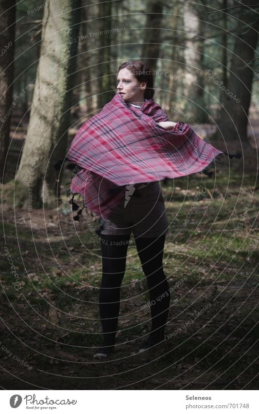 fliegender Teppich Mensch feminin Frau Erwachsene 1 18-30 Jahre Jugendliche Umwelt Natur Sommer Pflanze Baum Moos Wald Mode Bekleidung Tuch Bewegung werfen kalt