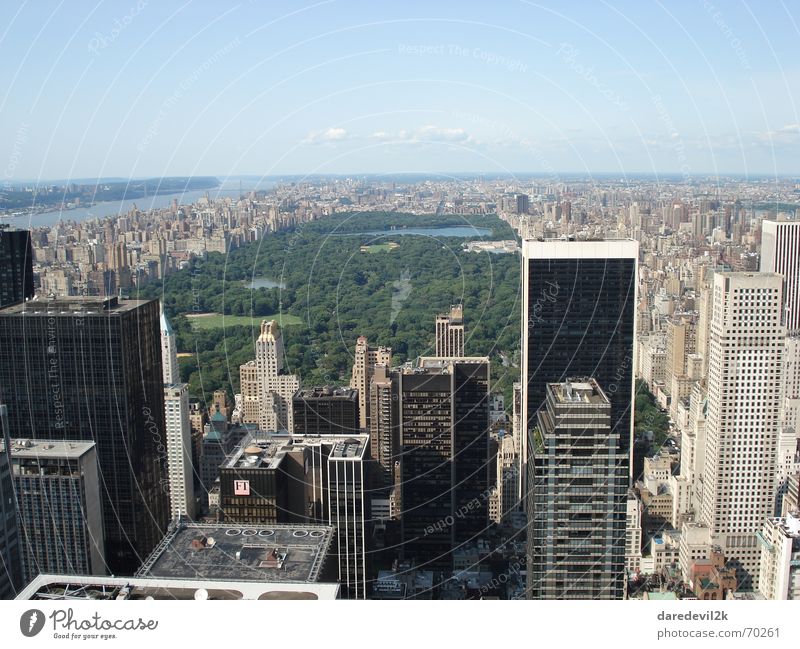 Central Park grün New York City Stadt Hochhaus Haus Amerika Himmel