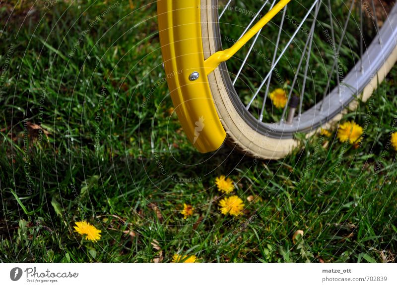 Gelb und Grün Fitness Freizeit & Hobby Ausflug Fahrradtour Sommer Sport Sport-Training Fahrradfahren Reifenprofil Umwelt Natur Blume Gras Wiese entdecken