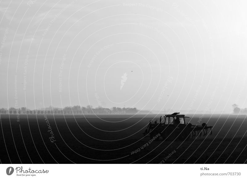 Land und Wirtschaft Maschine Landwirtschaft Landwirtschaftliche Geräte Traktor Landschaft Frühling Schönes Wetter Nebel Feld Dithmarschen