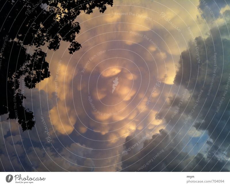 Unwetter I Wetter schlechtes Wetter Wind Sturm Regen Gewitter bedrohlich Mammatus Wolken Wolkenformation Kumulus Himmel (Jenseits) Wolkenhimmel Tornado Toronto