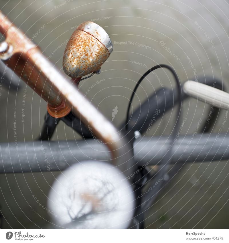 Radl | Details Antwerpen Belgien Stadt Personenverkehr Fahrradfahren Fahrzeug Metall alt retro trashig braun grau Nostalgie Vergänglichkeit Rost Fahrradlenker