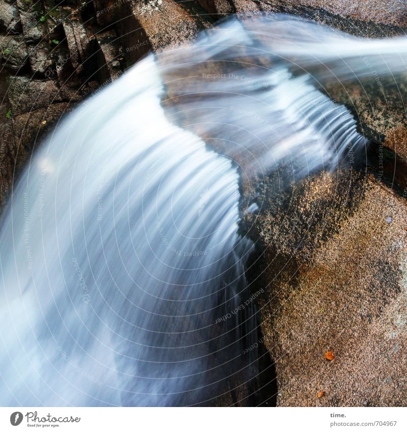 ohrenbetäubende Ruhe Umwelt Natur Landschaft Wasser Herbst Berge u. Gebirge Schlucht Wasserfall fallen fest Flüssigkeit nass natürlich Leidenschaft Leben
