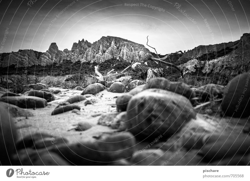 Clay Cliffs Natur Landschaft Felsen Berge u. Gebirge dunkel stachelig Abenteuer Ferien & Urlaub & Reisen clay cliffs Neuseeland Sandstein Schwarzweißfoto
