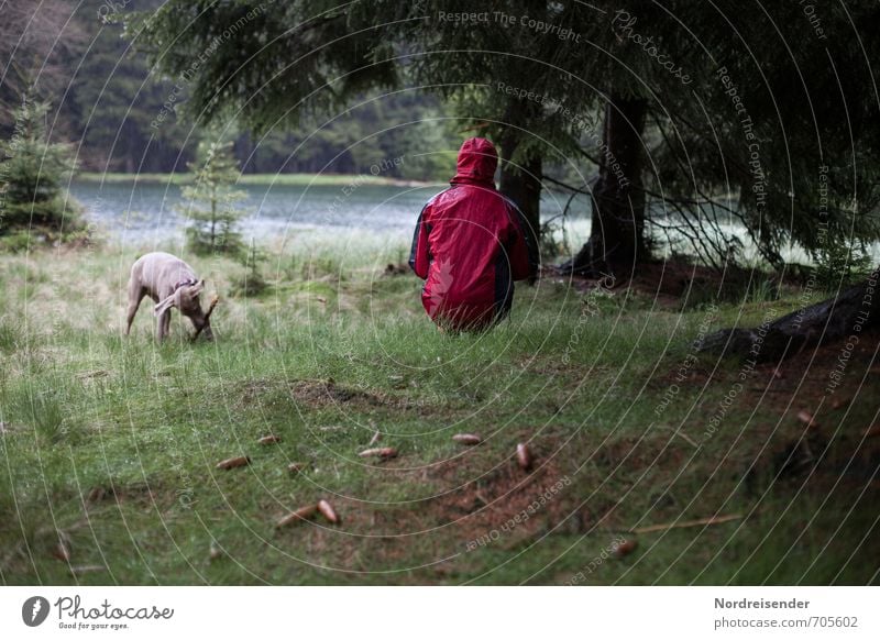 Regenschauer Lifestyle harmonisch Erholung ruhig Meditation Ausflug wandern Mensch Frau Erwachsene 1 Natur Wasser schlechtes Wetter Baum Wiese Wald See