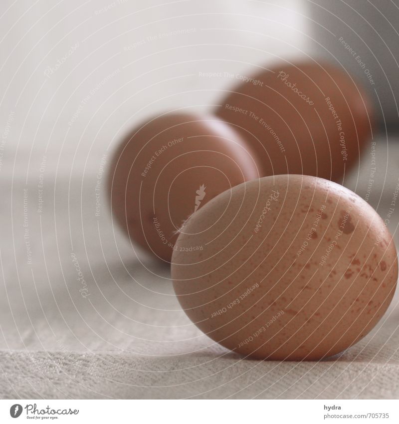 Braune Eier auf Leinentuch warten aufs Eierfärben an Ostern Lebensmittel Eierschale Gesunde Ernährung einfach Gesundheit lecker natürlich braun schön