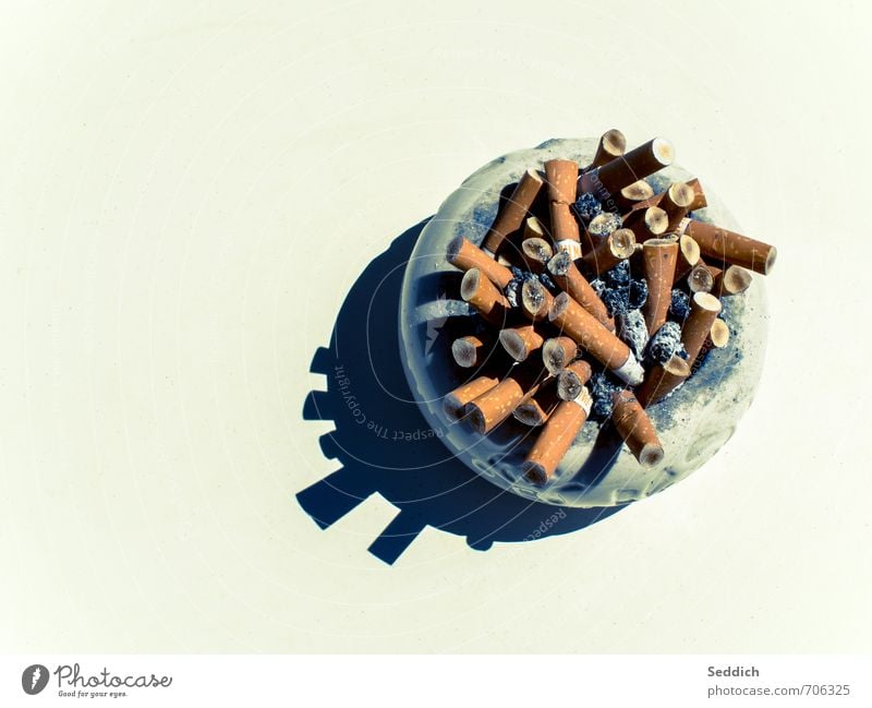 Grenzen in vielerlei Hinsicht Gesundheit Gesundheitswesen Krankheit Rauchen Kunst dreckig Ekel Laster Tod Aschenbecher Zigarette Zigarettenstummel Farbfoto