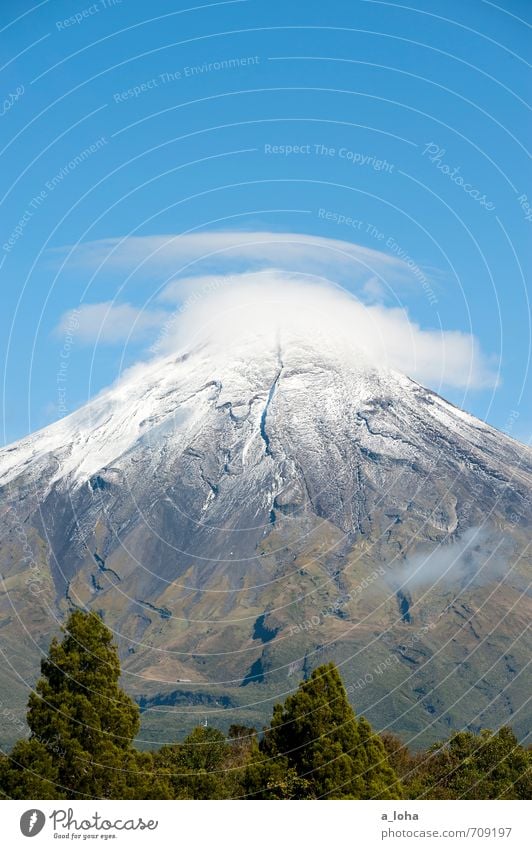 fernweh Umwelt Natur Landschaft Pflanze Urelemente Luft Himmel Wolken Herbst Schönes Wetter Eis Frost Baum Gras Berge u. Gebirge Gipfel Schneebedeckte Gipfel